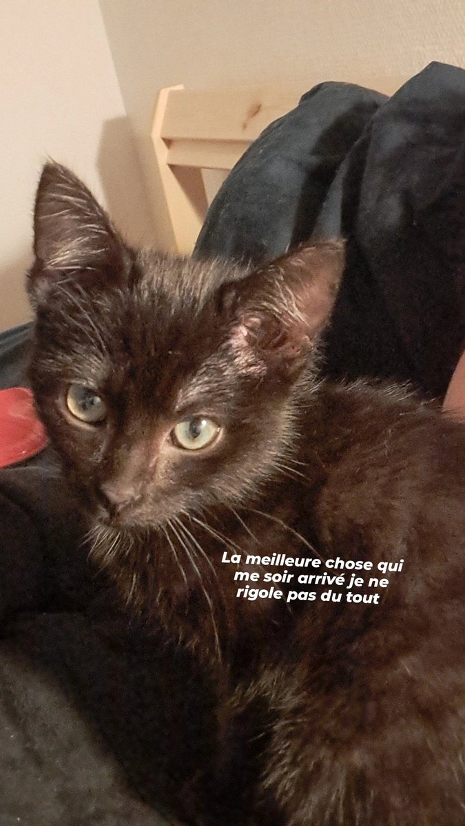fatiMaghreb_'s tweet photo. @hidylles Ma fille: Zuko https://t.co/2rhQ5K4uh7