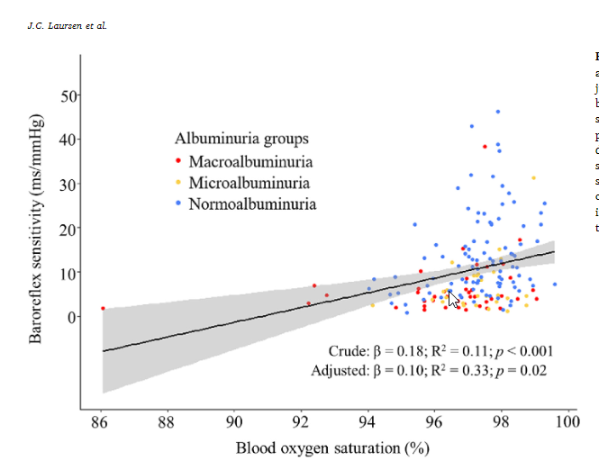 Lower baroreflex sensitivity was associated with lower SpO2 in type 1 diabetes. This support the hypothesis that hypoxia could be a therapeutic target in persons with type 1 diabetes. <a href="/Stenodiabetes/">Steno Diabetes Center Copenhagen</a> <a href="/FinnDianeStudy/">FinnDiane Study</a> <a href="/JensChristianL2/">Jens Christian Laursen</a>  sciencedirect.com/science/articl…