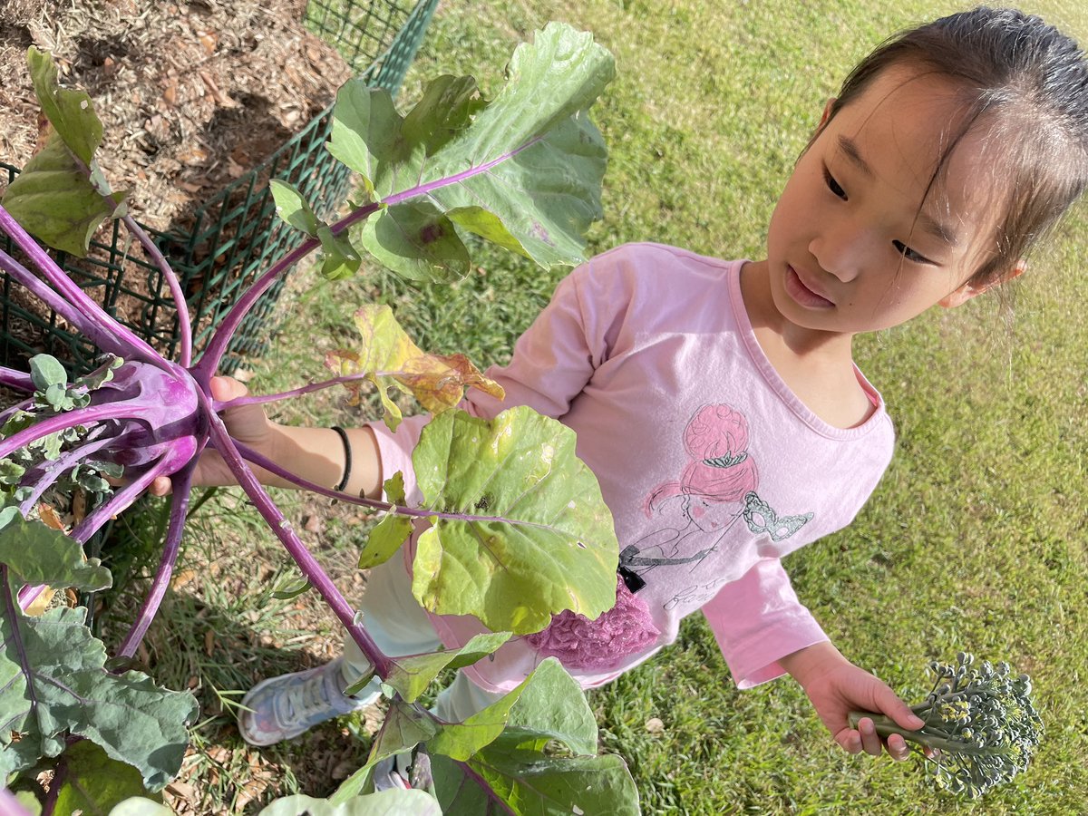 Martha Brown tweet media