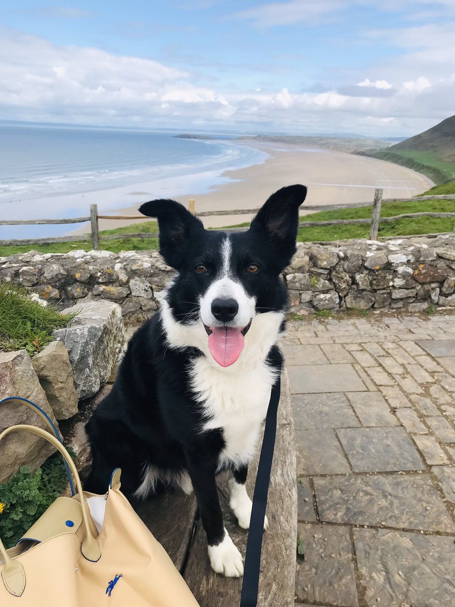 EmmaDAVIES001's tweet photo. @BCTGB Finally Returned to our favourite place π₯°π₯°@GowerNT #Rhosilli β€οΈ https://t.co/1JS3g0SmSa
