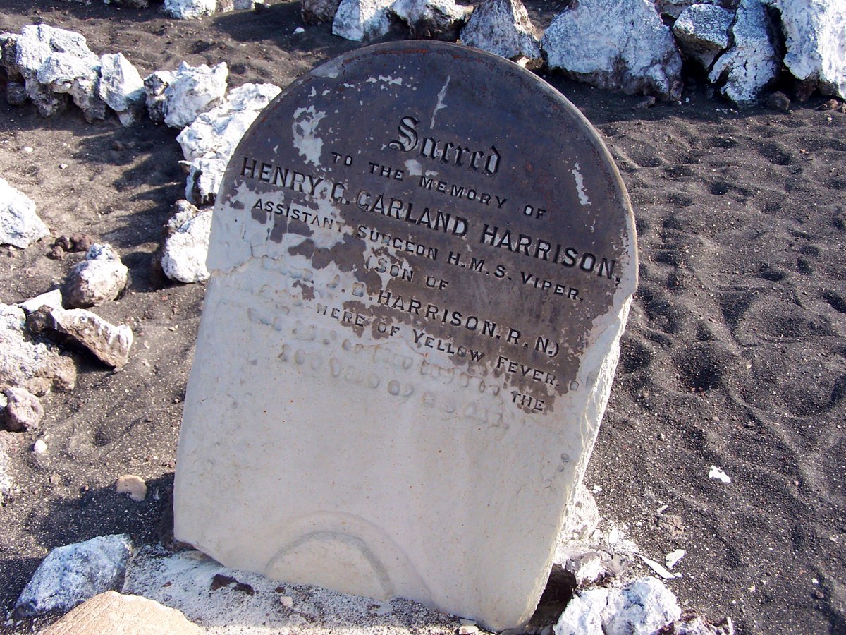 Leigh Turner Author tweet media