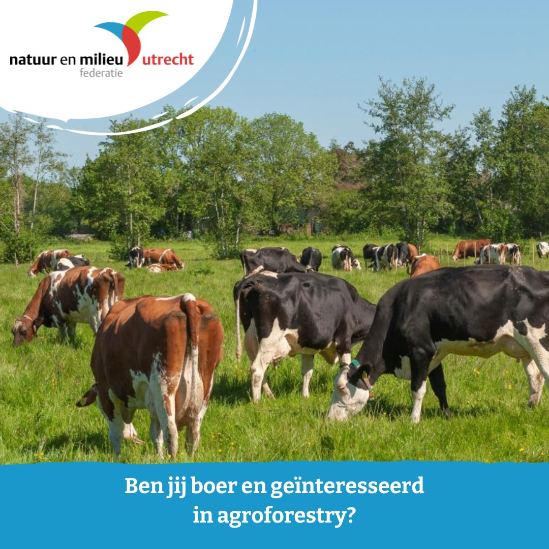 NMU_'s tweet photo. 👩‍🌾 Ben jij boer en geïnteresseerd in agroforestry? Kom dan 6 mei naar onze inspiratiebijeenkomst bij Boerderij tussen de Hagen! Meer informatie en aanmelden: https://t.co/KXPzq5pU4D

#agroforestry #boeren #landbouw #verdienmodellen #biodiversiteit #klimaat #bomen https://t.co/RrEY5Wvk3E