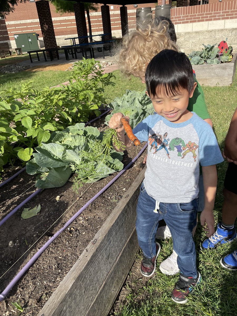 Martha Brown tweet media