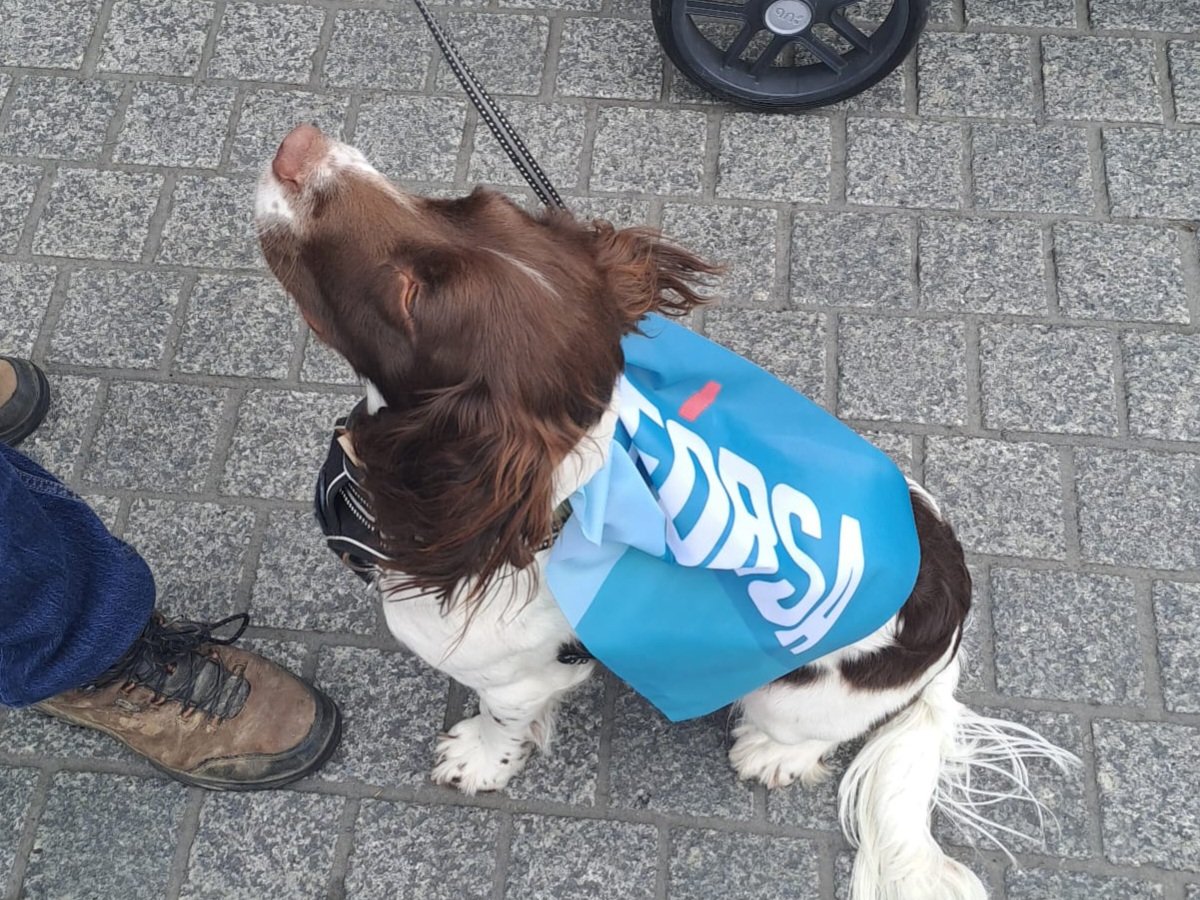 Fórsa trade union tweet media