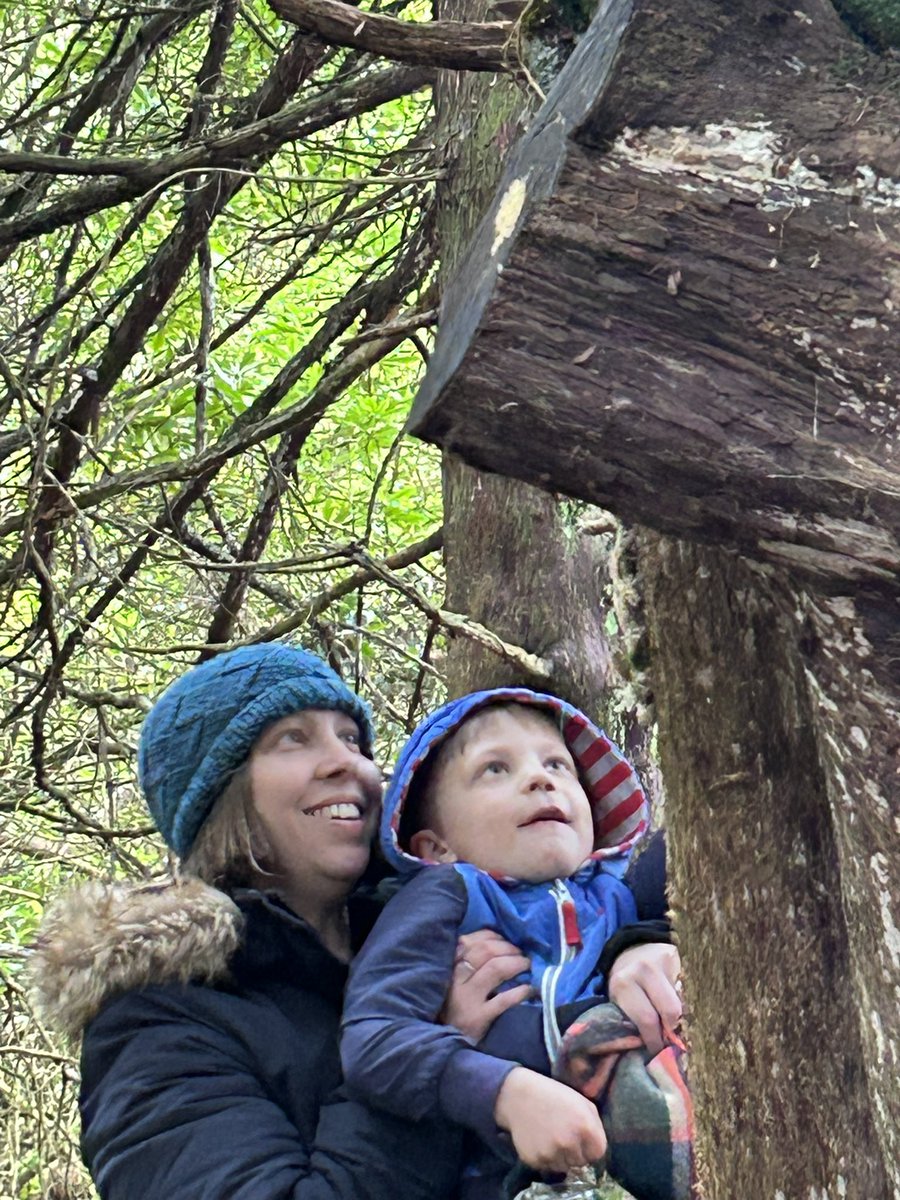 Meigle and Ardler Community Development Trust tweet media