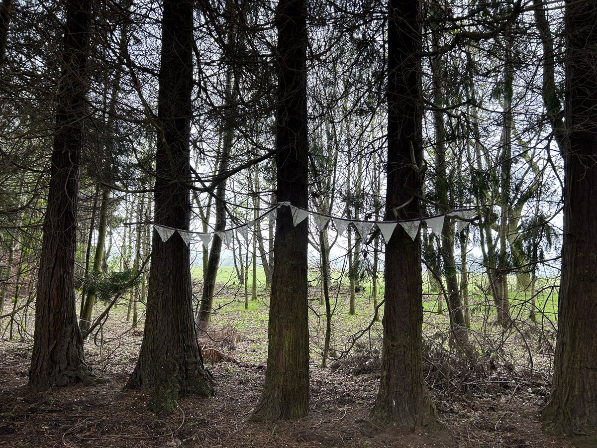 Meigle and Ardler Community Development Trust tweet media