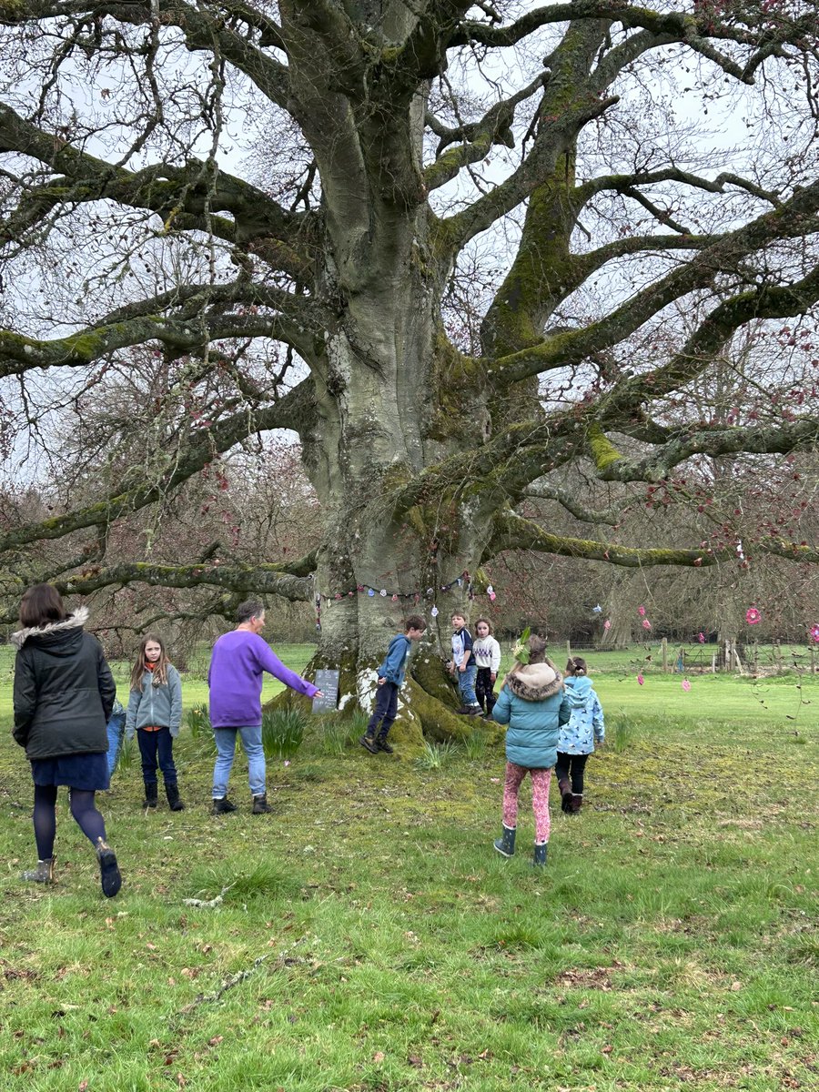 Meigle and Ardler Community Development Trust tweet media