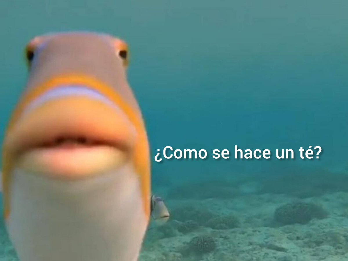 -Mi novia: Espero que mi novio no sea un inútil..
-Yo: