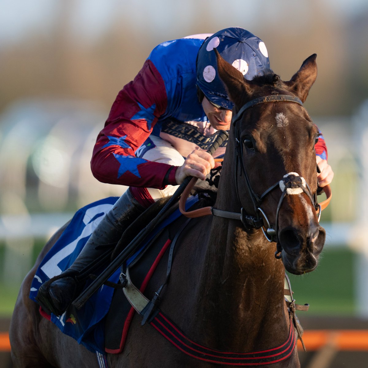 Racing Post tweet media