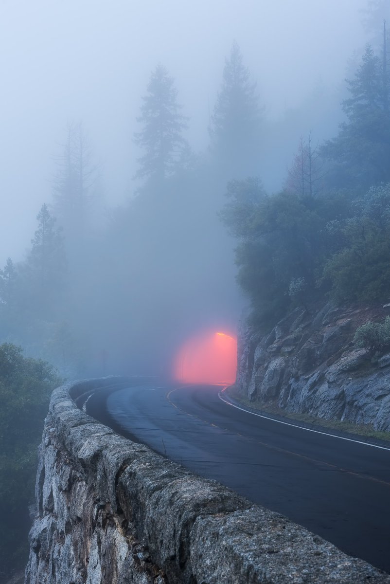 Above the fog.           In the fog.