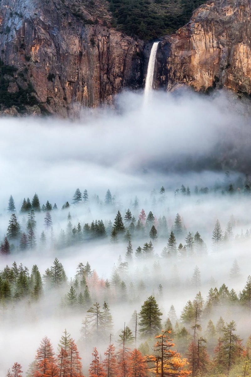 bay_photography's tweet photo. Above the fog.           In the fog. https://t.co/XA1JkIOmeY