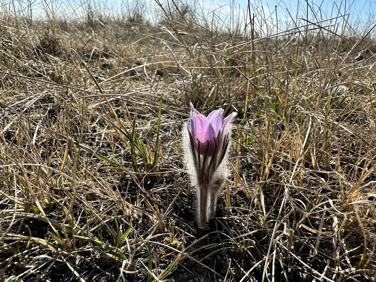 May 1st, and it feels like real spring is finally here!