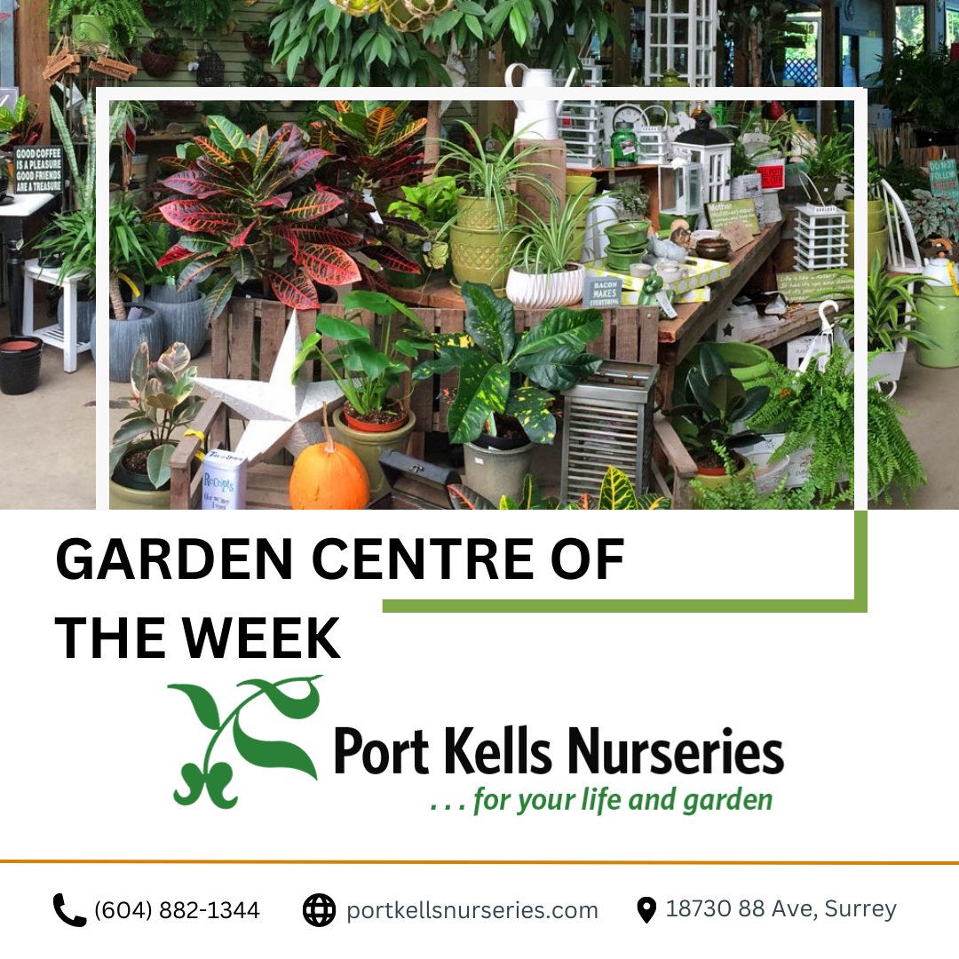 Plant Something Together tweet media