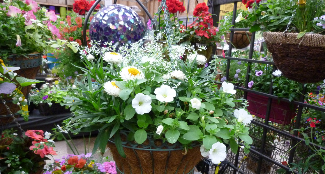 Plant Something Together tweet media