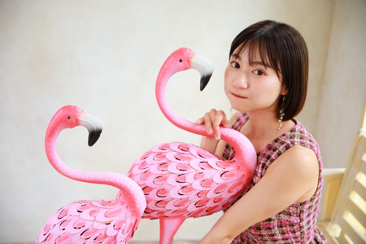 フラミンゴ🦩ちゃん🫧
衣装と同じ色味だったの〜🦩✨

みんな、おやすみなさい🩷✨

📷…<a href="/Web_Surfer64/">Web Surfer</a>