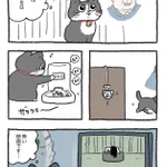 「ねこ転」その86が公開!ホラー映画を観るプンちゃんw