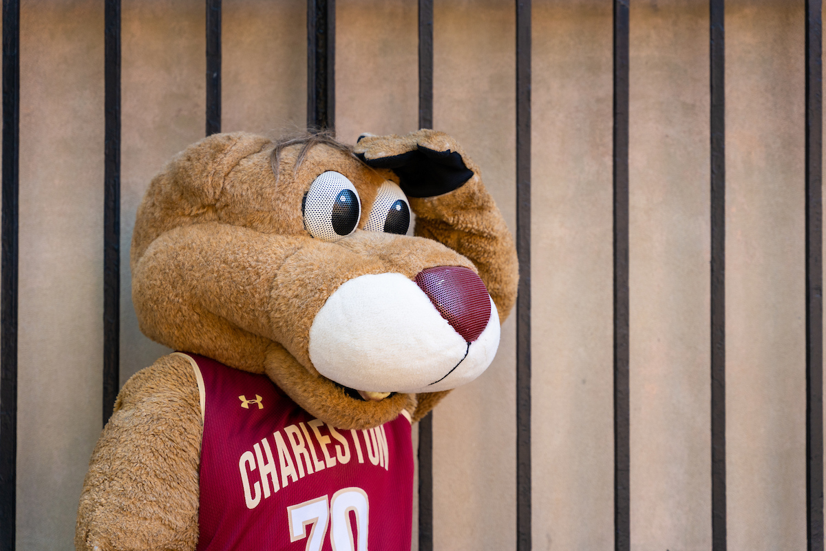 Looking at all our future Cougars who committed today! Congratulations 🐾 🥳