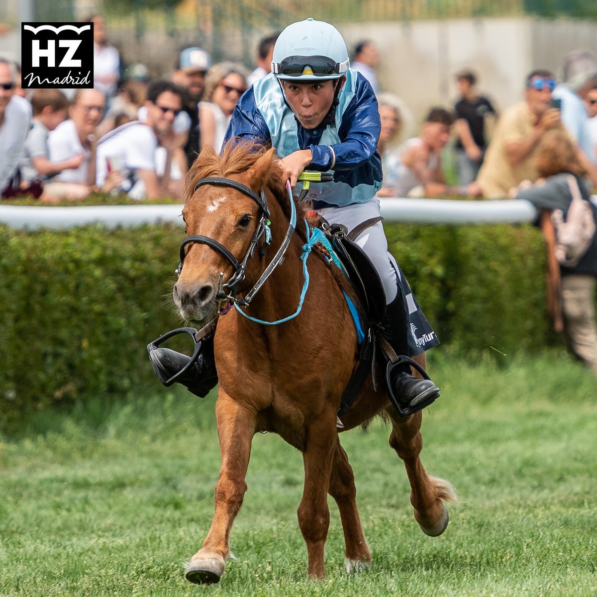 Hipódromo de La Zarzuela tweet media