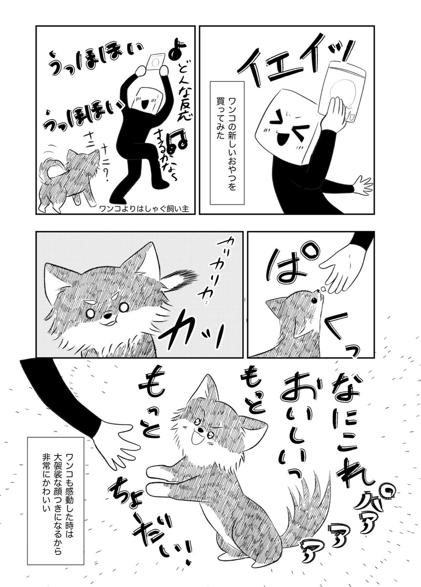 ワンコといると超楽しい

#エッセイ漫画
#チワワのいる暮らし https://t.co/lydUPYbHFE