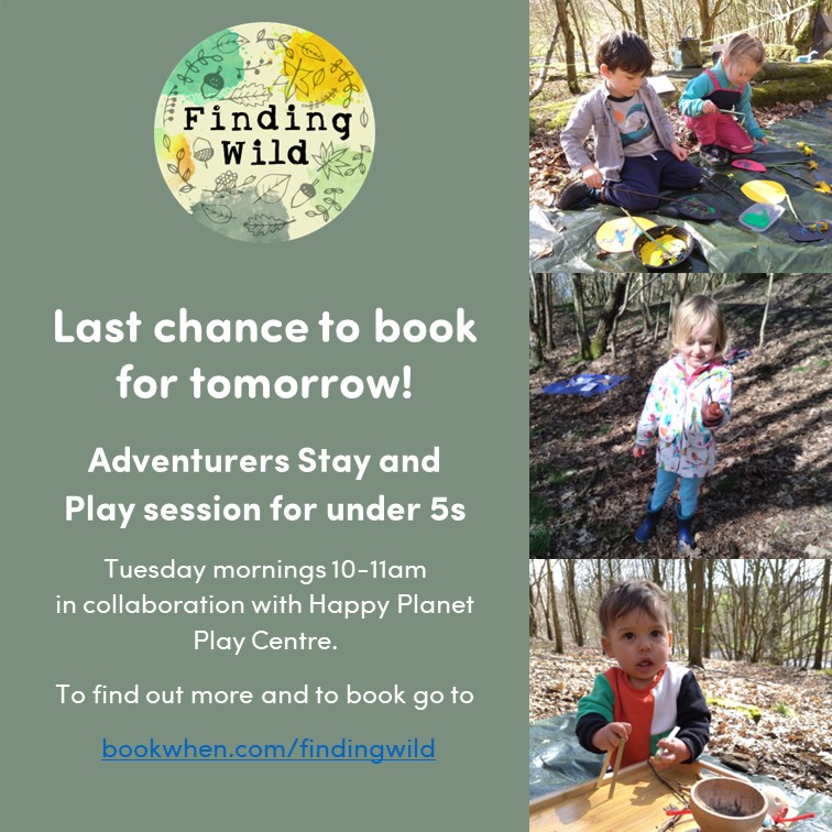 FindingWildFS's tweet photo. Yeeha! Come on down to our Adventurers stay and play at Baildon Bank.
#forestschool
#forestschoolsuk
#natureplay
#findingwild https://t.co/PGpH8BKZX9