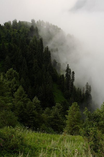 BeautyPakistani's tweet photo. Nathia Gali, Pakistan. https://t.co/4CWA6WbKYB