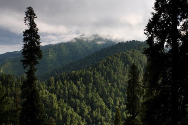 Nathia Gali, Pakistan.
