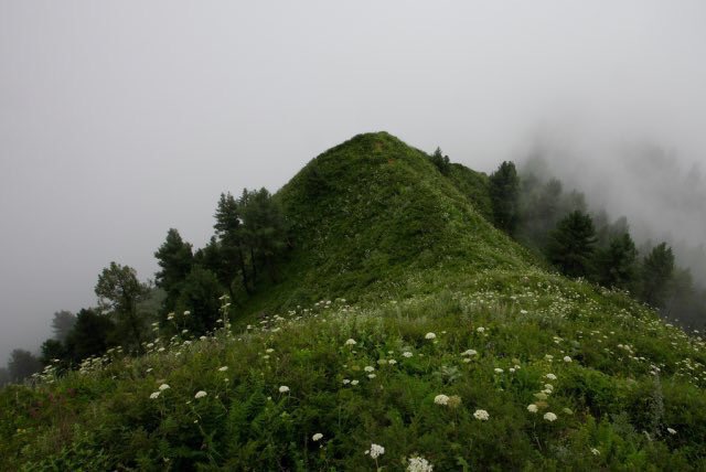 BeautyPakistani's tweet photo. Nathia Gali, Pakistan. https://t.co/4CWA6WbKYB