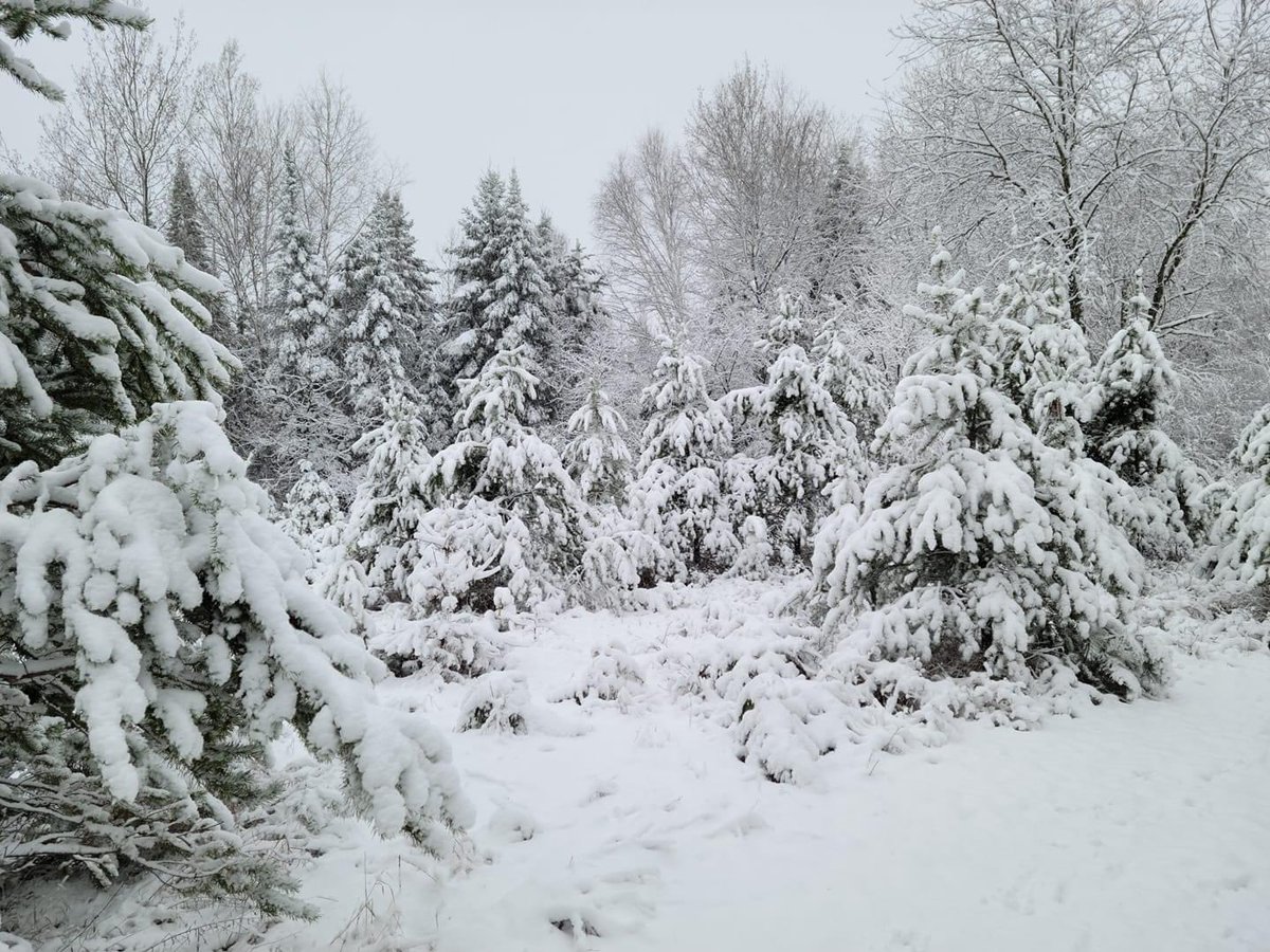 Brooke Brighton on Twitter "And the snow continues! Here’s a look at Rhinelander from Brian