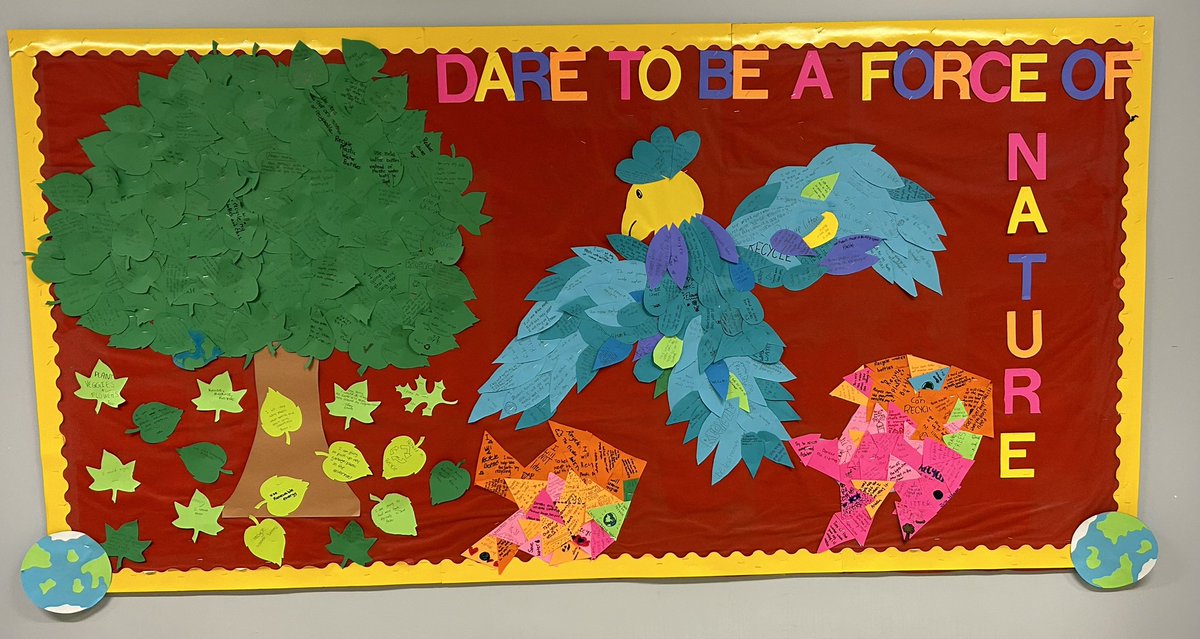 Randi Lipack tweet media