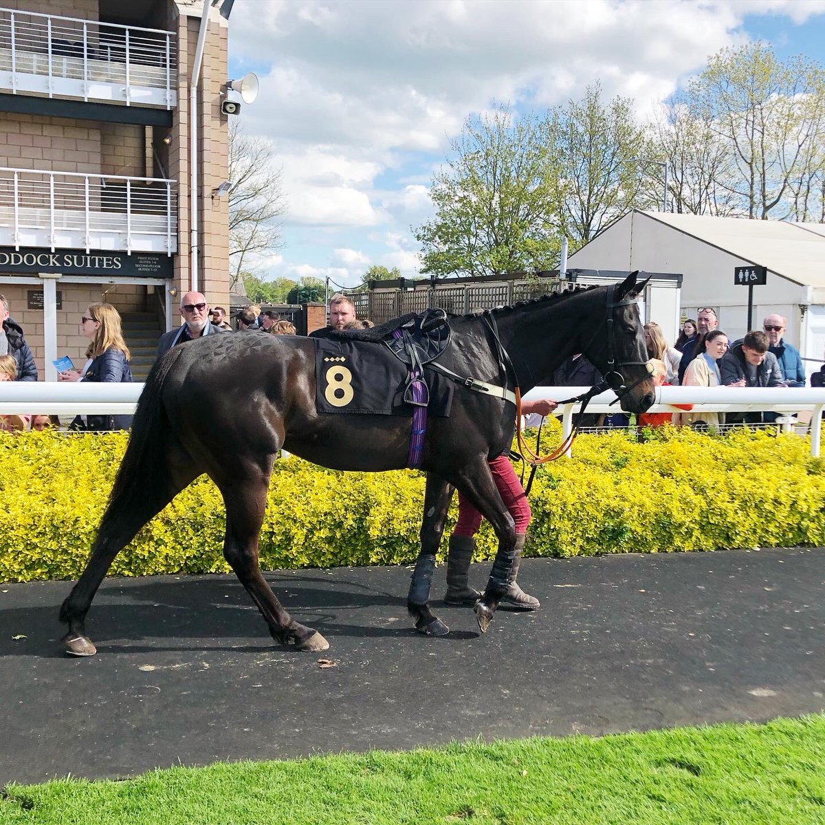 In the parade ring <a href="/WarwickRaces/">Warwick Racecourse</a> as <a href="/NickScholfield1/">Nick Scholfield</a> rides Small Bad Bob in a few minutes. Good luck to all connections #racing