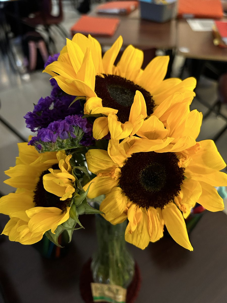 MrsSchnitziusH's tweet photo. Feeling loved ⁦⁦@LewisvilleHS⁩. A student that is about to graduate,( I taught as a junior) brightened my day!! This is sunshine in a vase!! https://t.co/WwcJjvjvnt