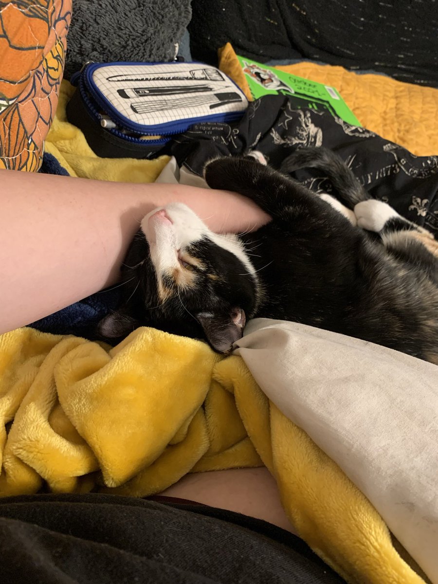 Mad Karin Studios tweet media