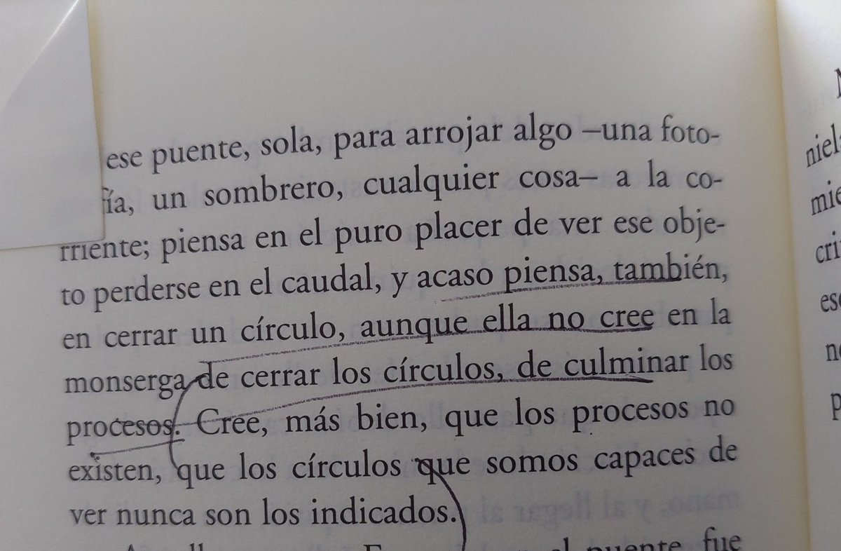 los_fatales tweet media