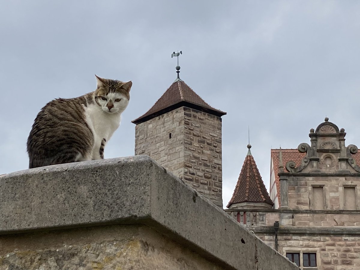 Jan (DO8DX) (@jan_dxer) on Twitter photo 