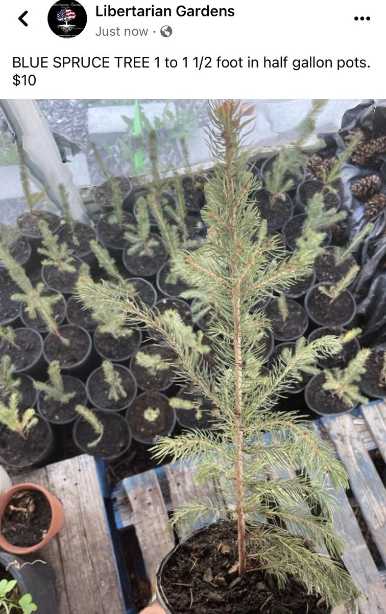 LibertarianGar's tweet photo. Please help support our family gardens! https://t.co/qvSAELjJF8