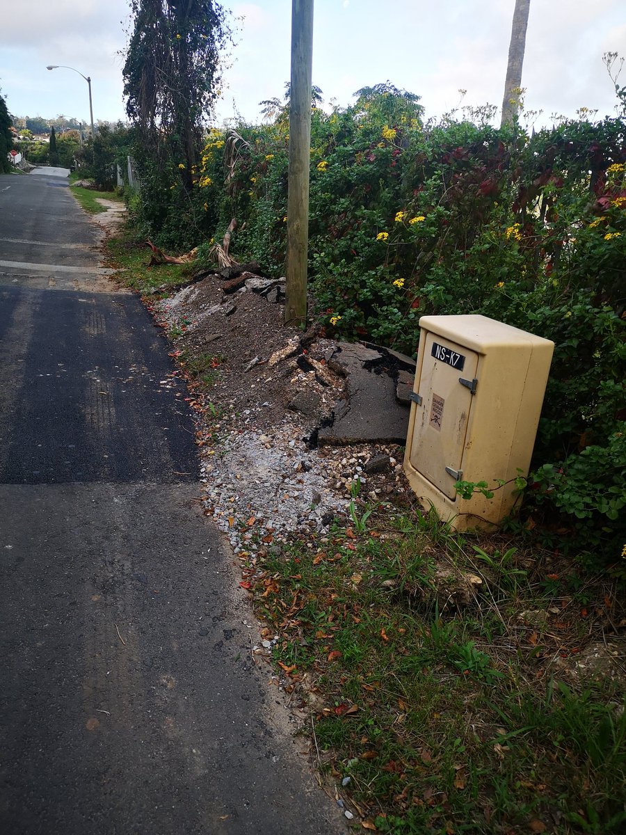 Serett Maree tweet media