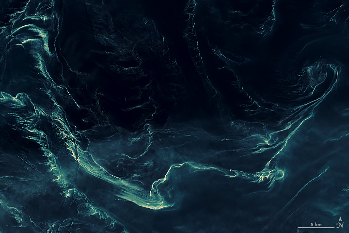 NASAEarth's tweet photo. Yup, it’s allergy season. 🌼🌲

Pine pollen floating on the currents and waves is responsible for these patterns in the Baltic Sea, taken by the @esa Sentinel-2A satellite in May 2018. https://t.co/YKGEPm6vvH https://t.co/XXAgH9H5hE