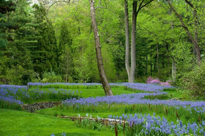 Chimpy20's tweet photo. Happy Beltane! 
Today marks the Celtic celebration marking the height of spring &amp; early signs of summer. It also said to be the time when the veil between this world &amp; the one of the fey is at its thinnest, so sightings of fairies, elves &amp; pixies may be more common. #Beltane2023 https://t.co/gm1PHXnEIr
