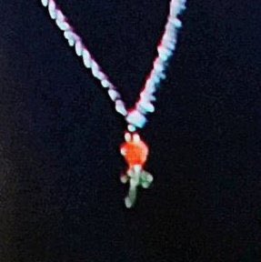 shbpics's tweet photo. our fandom name ZEROSE (제로즈) was announced, and hanbin was wearing a rose necklace 🌹

#SUNGHANBIN #성한빈 https://t.co/pVF8tn0Wxe