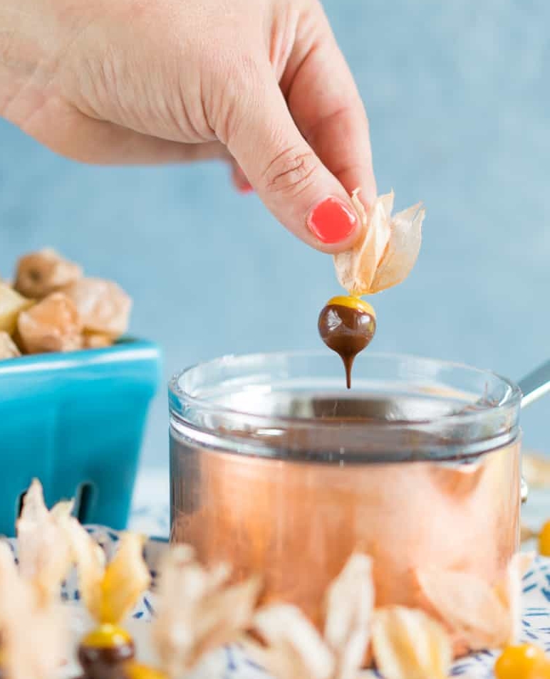 HealthNkitchen's tweet image. Dark Chocolate dipped Ground Cherries 

That pineapple-tomato-sweetness is addictively delicious paired with chocolate, for a sweet treat on a fall day. 

healthstartsinthekitchen.com/dark-chocolate…