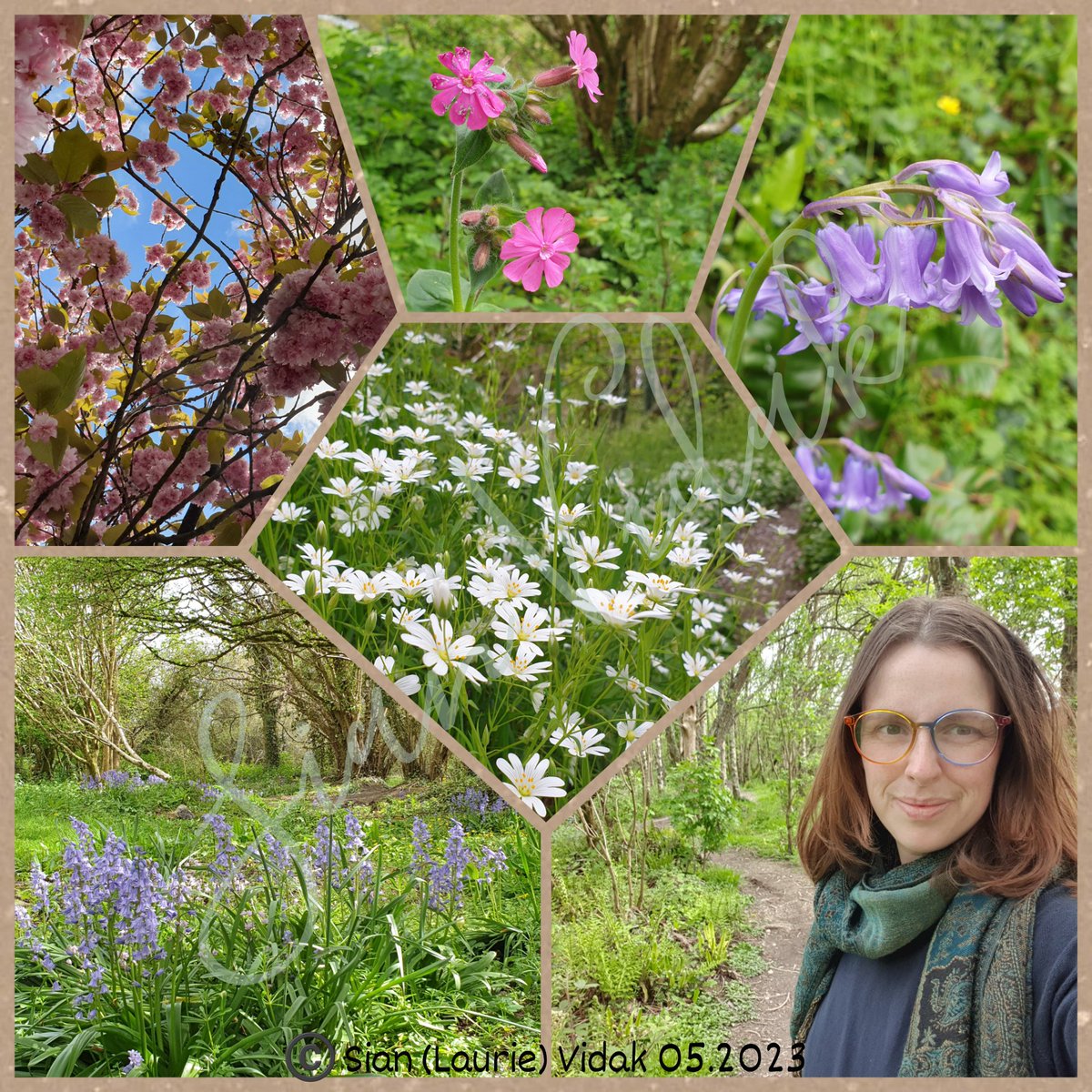 SianVidak's tweet photo. Outside exploring with the kids &amp; pooch. I love the fact everything &amp; everywhere is an organic learning opportunity. We were built for outside &amp; nature, sometimes we forget that!!
#10kids #BankHoliday #gains #getoutside #mentalhealth #nature #homeeducation #miniexplorers #learn https://t.co/FuHFo2nu7y