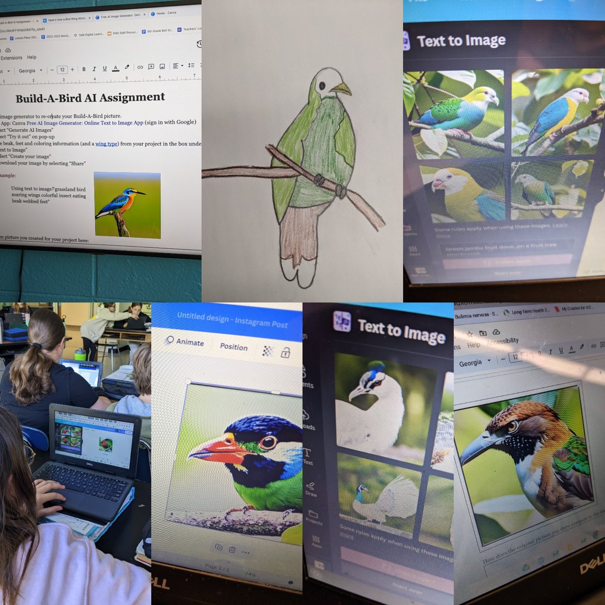 Evan Franchini tweet media