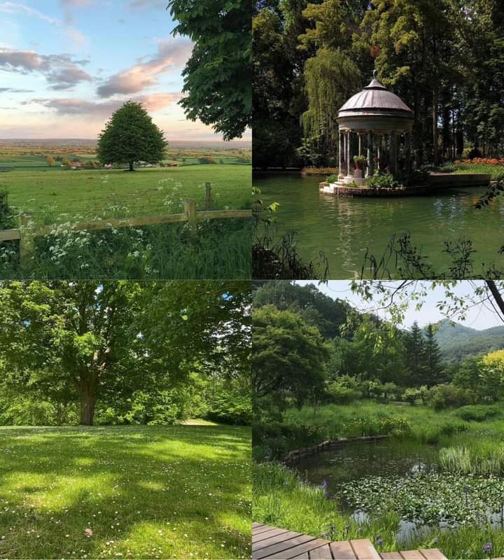 artindetails's tweet photo. tranquil views. https://t.co/5SbOEyKqGK