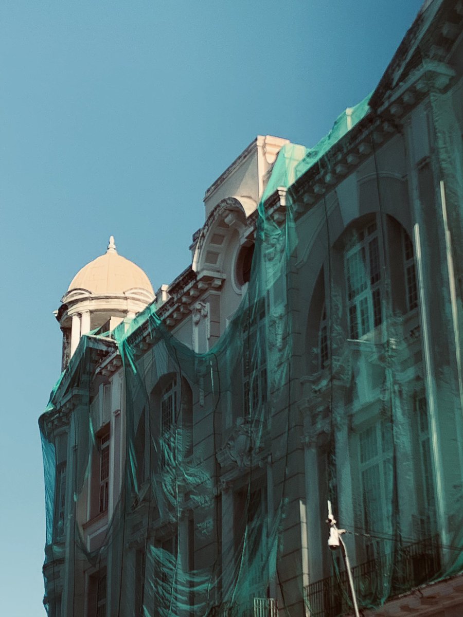 ratinha demasiada tweet media