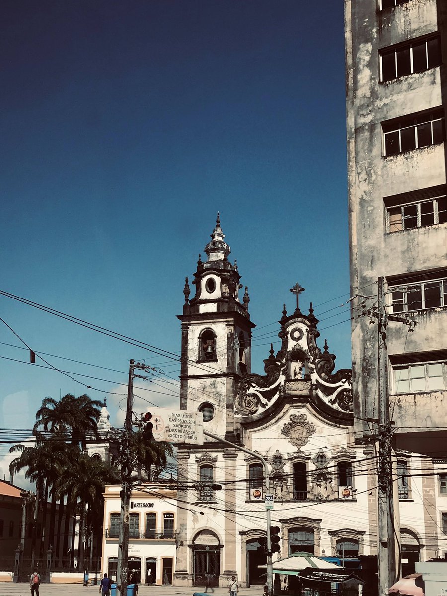 ratinha demasiada tweet media