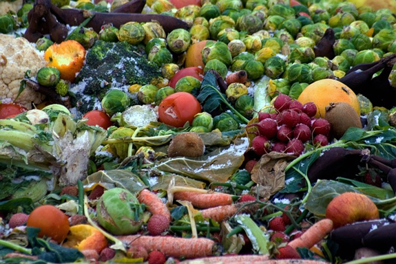 jiclemente's tweet photo. ¿Y los desperdicios? ¿Y el medio ambiente? Si solo es #producir y producir y producir, a lo mejor los desperdicios incluso son mayores!!!!! #medioambiente https://t.co/4NOENacjRq