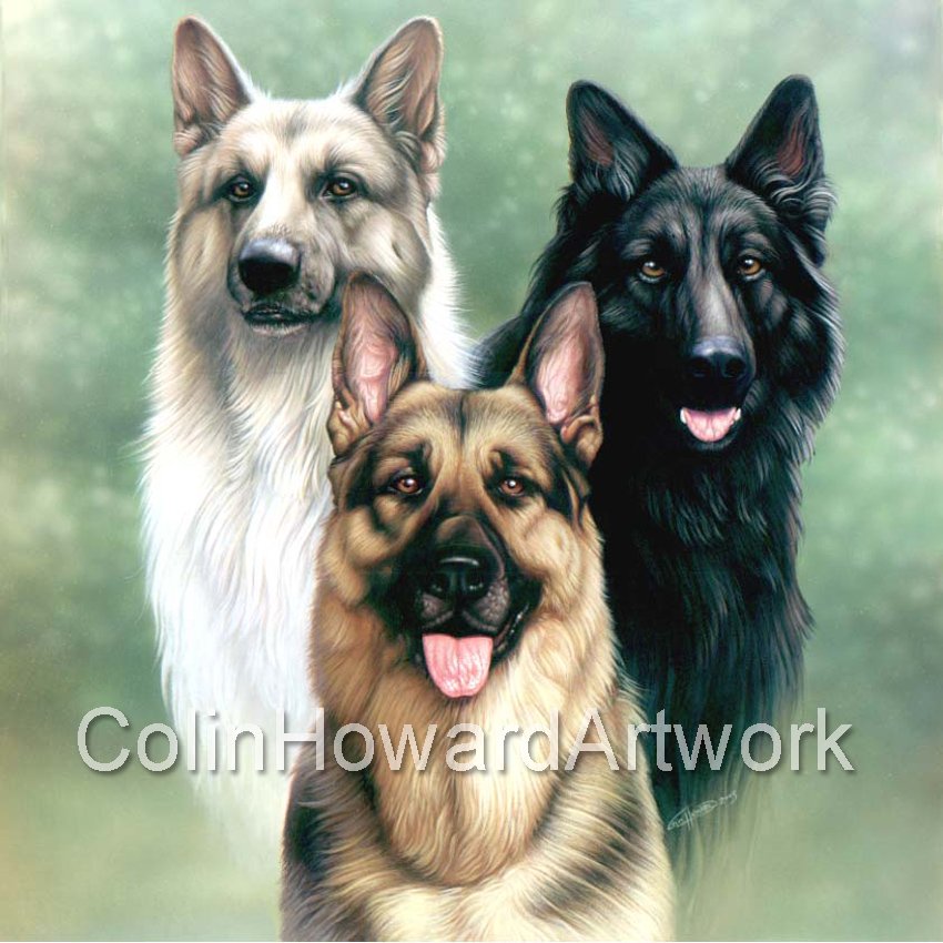 EricBec74066573's tweet photo. Furry Friday: In my 'Other life' as a Natural History artist &amp; children's book Illustrator I sometimes got to channel my love of animals into Art. Here's an💕💕 #concept #Digital2D #Illustration #Gaming #TraditionalArt #Impalaloons #RIPAlJaffe  
Original: ColinHowardArt https://t.co/ms6h6sdXCB