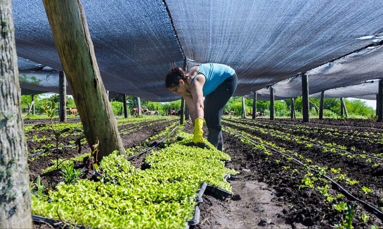 Ministerio de Desarrollo Agrario tweet media