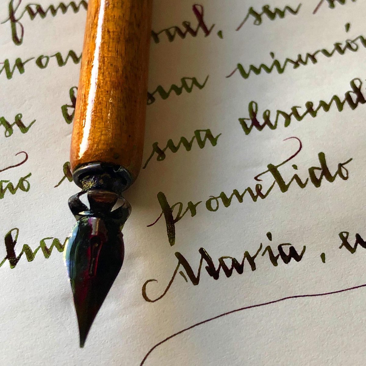 wilsonportejr's tweet image. Magnificat, Miryam מִרְיָם, Theotokos. Que a nossa alma também engrandeça ao Senhor neste novo mês. 

#may #dippencalligraphy #mary #miryam #מִרְיָם #diaminelittlebobink #praisedbetheincarnateword #logos #jesus