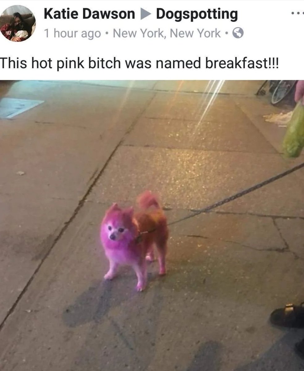 i genuinely forget i have to post on this sometimes mb heres a hot pink bitch named breakfast